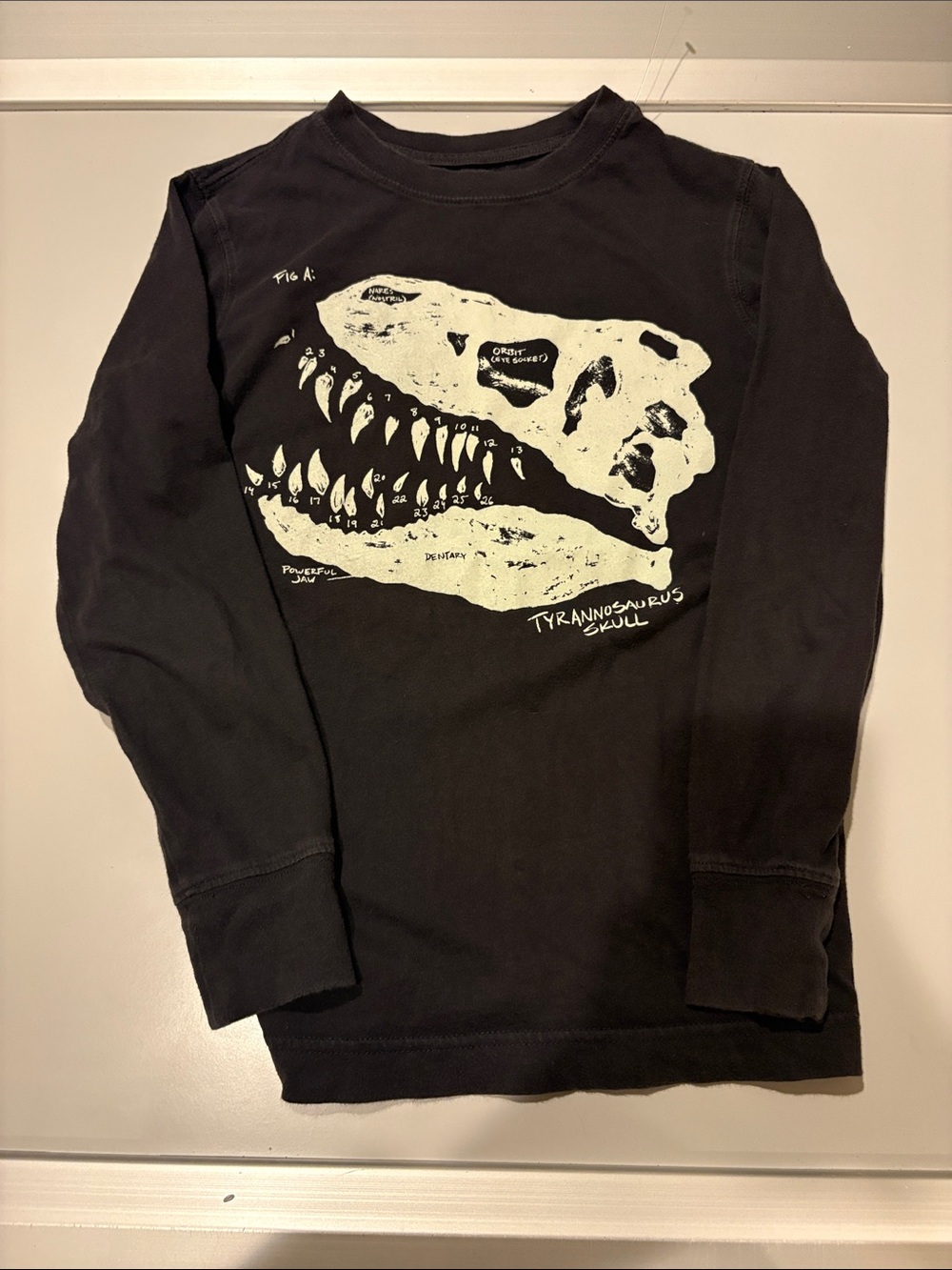 Lands' End Kids Long Sleeve Graphic Tee Long Sleeve Dinosaur Graphic Tee Size 8